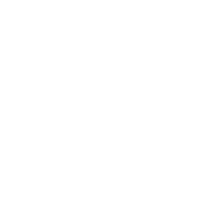 Genetics - DNA