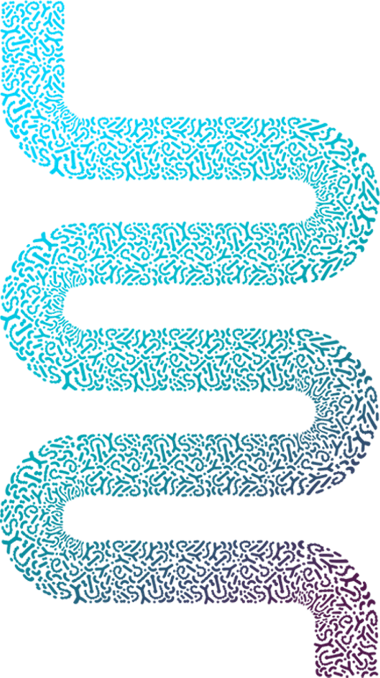 Intestines (1)