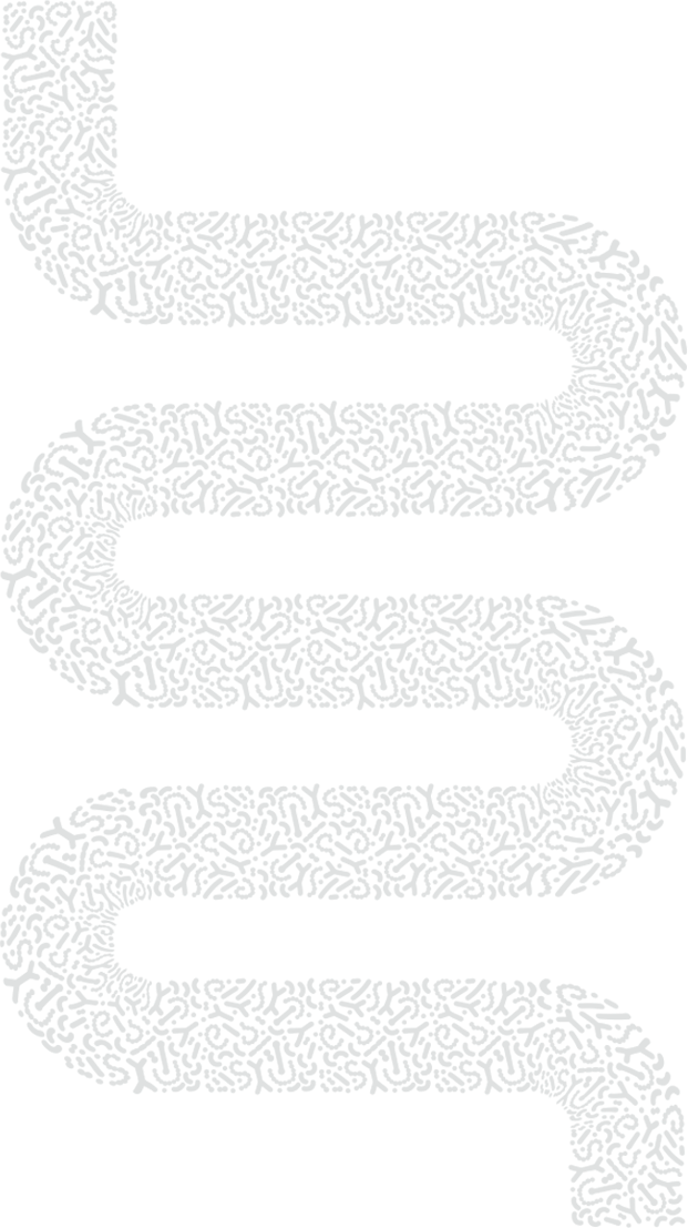 Intestines