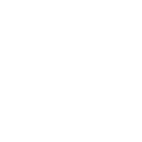 Stress - Brain