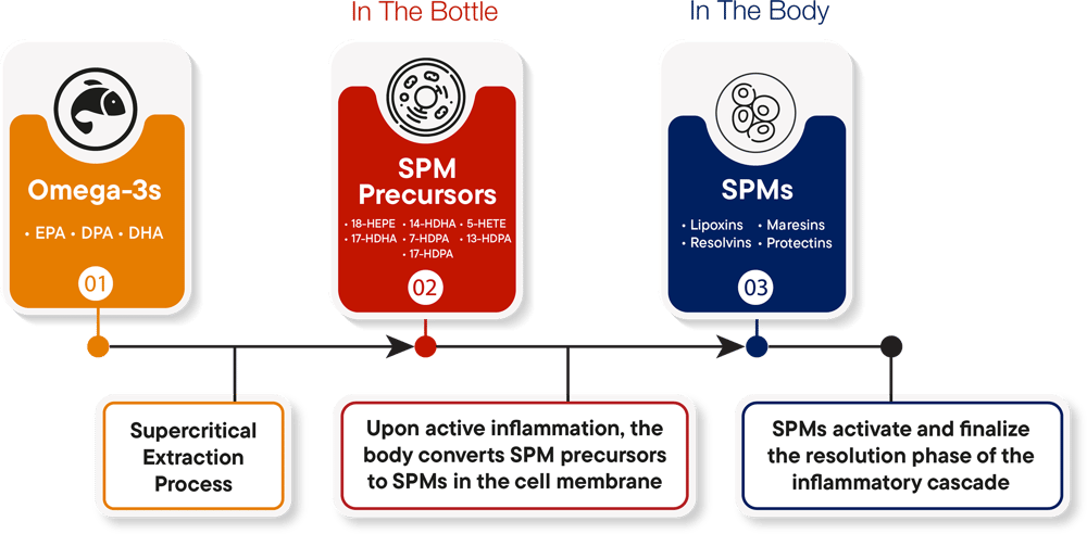 Spm Target Process Biomega SPM