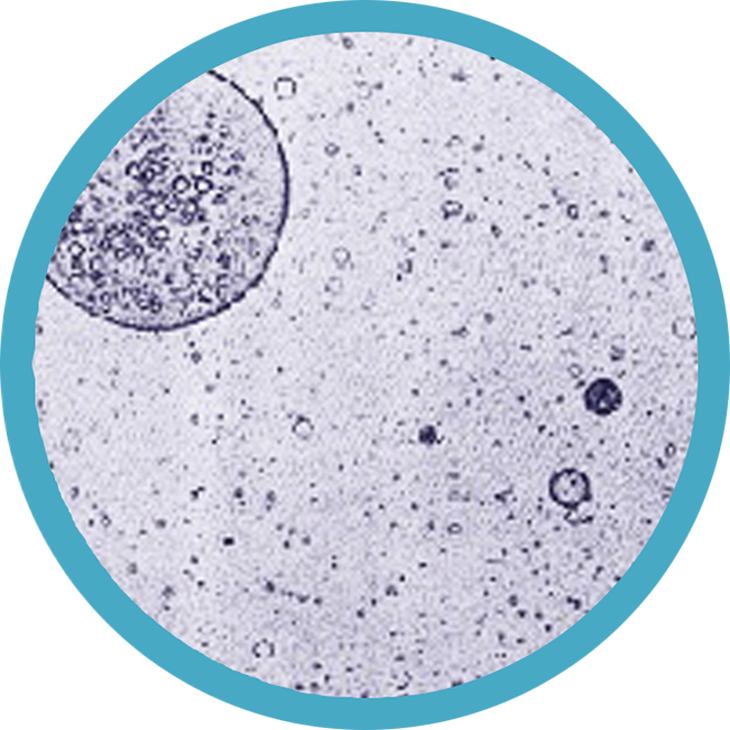 Emulsion Tech - Blue