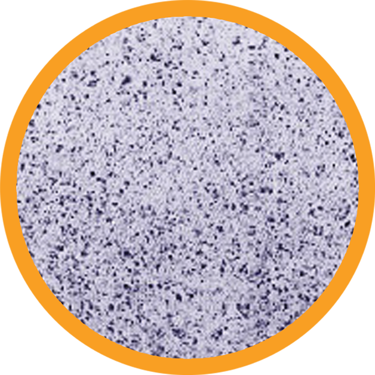 Emulsion Tech - Orange