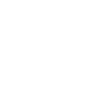 Muscle Fiber